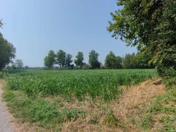 terreno agricolo in vendita a Cologno al Serio