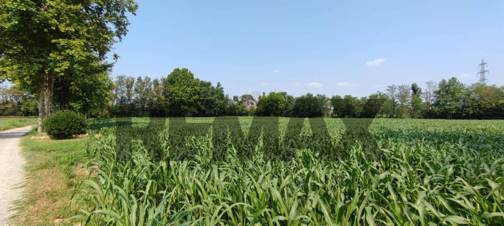 terreno agricolo in vendita a Cologno al Serio in zona Castel Liteggio