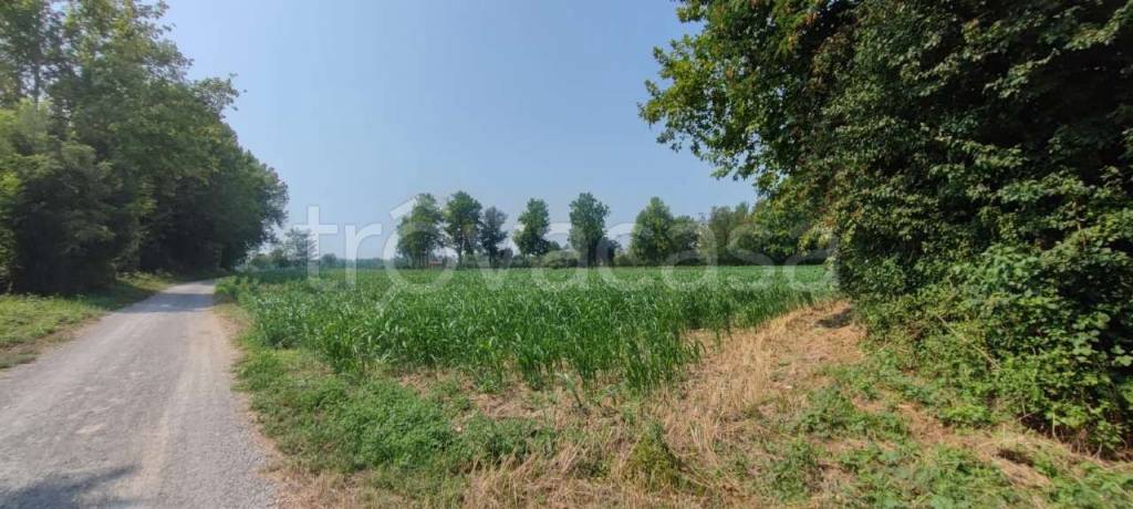 terreno agricolo in vendita a Cologno al Serio in zona Castel Liteggio