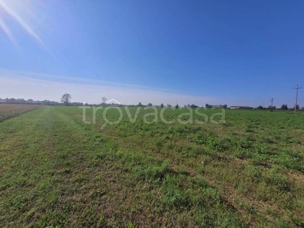 terreno in vendita a Cologno al Serio in zona Fornasette