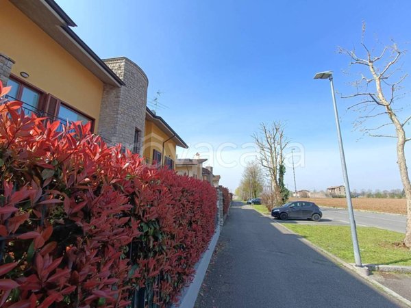 immagine annuncio 0 di 15