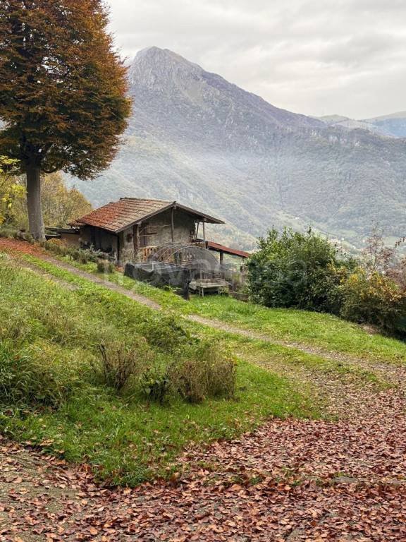 terreno agricolo in vendita a Costa Valle Imagna