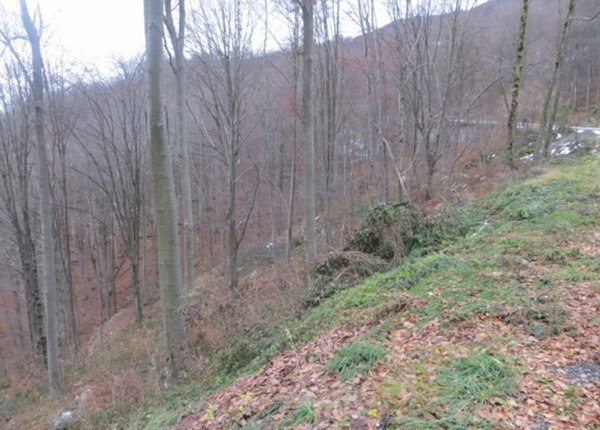 terreno agricolo in vendita a Costa Valle Imagna