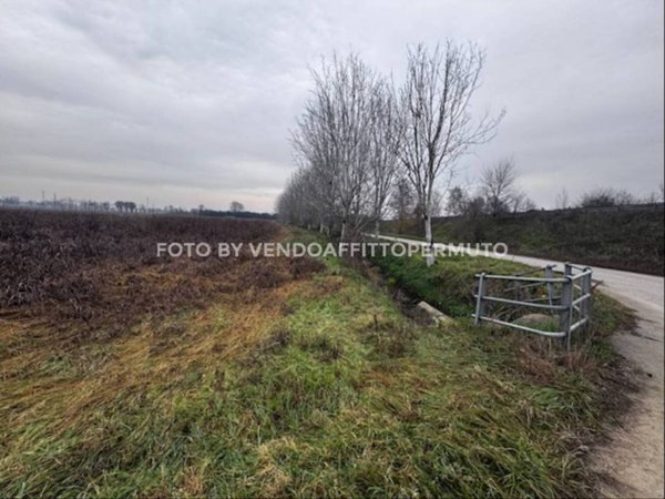 terreno agricolo in vendita a Covo