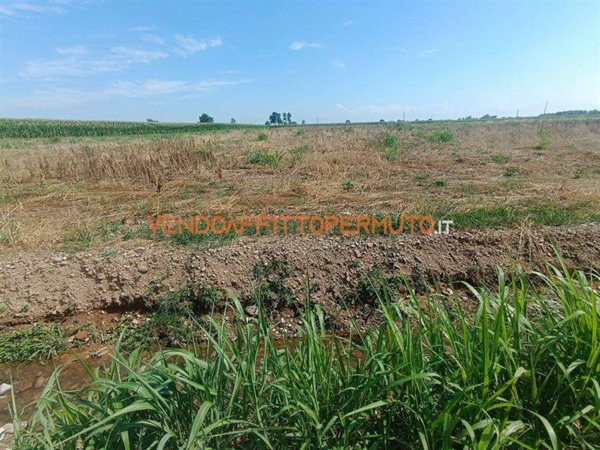 terreno agricolo in vendita a Covo
