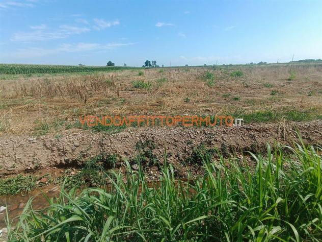 terreno agricolo in vendita a Covo