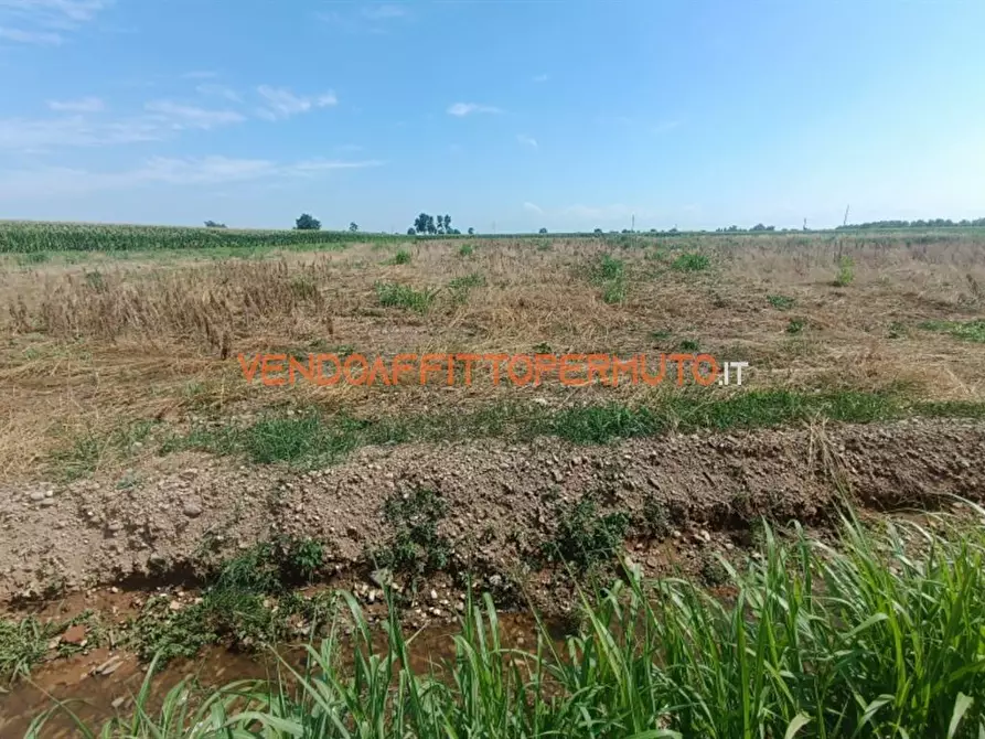 terreno agricolo in vendita a Covo