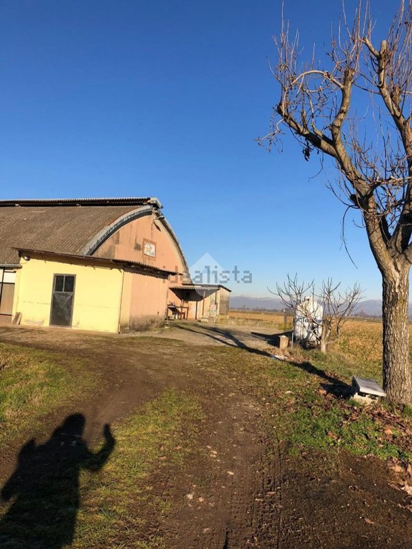 terreno agricolo in vendita a Covo