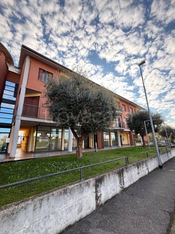 appartamento in vendita a Covo