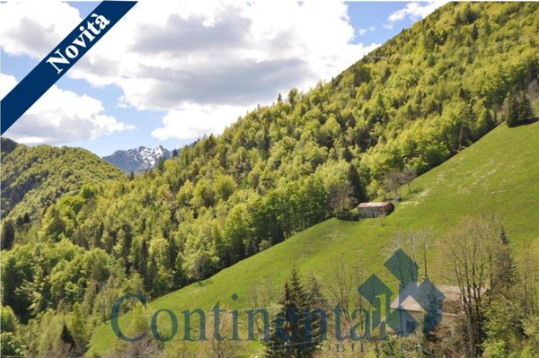 casa indipendente in vendita a Cusio