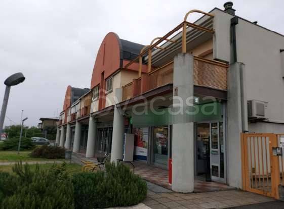 appartamento in vendita a Dalmine