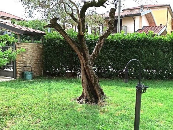 appartamento in vendita a Dalmine