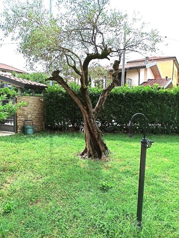 appartamento in vendita a Dalmine