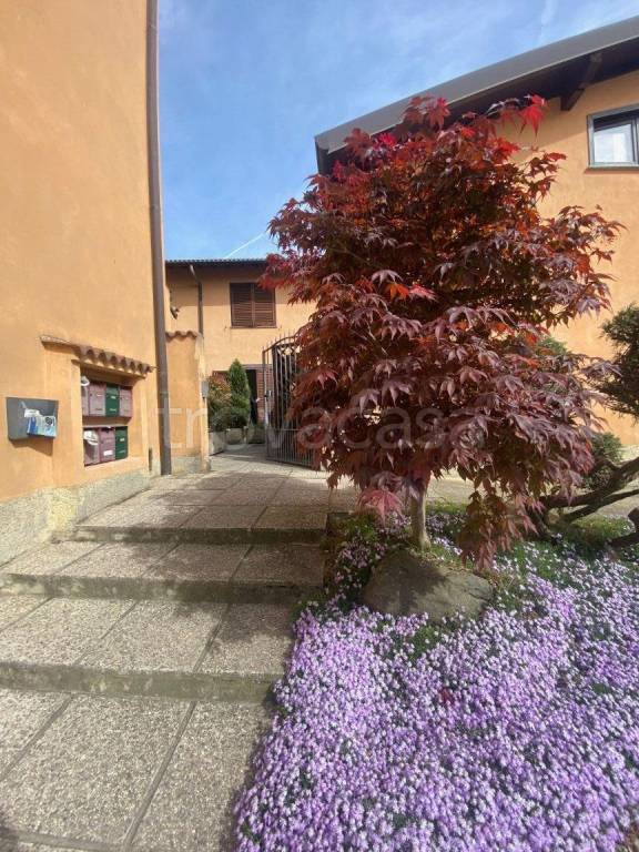 appartamento in vendita a Dalmine