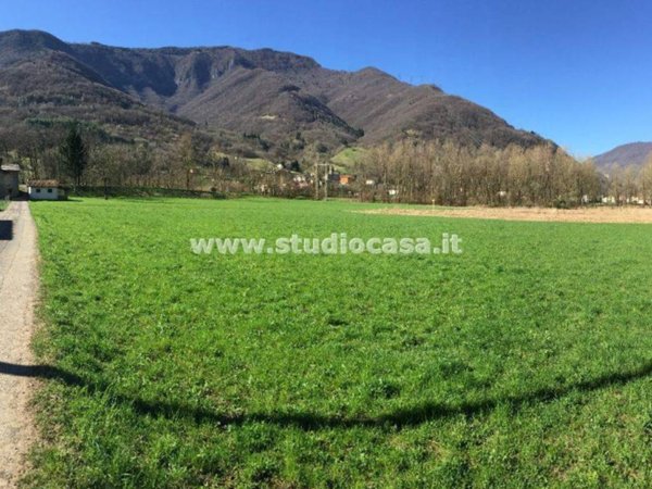 terreno agricolo in vendita ad Endine Gaiano