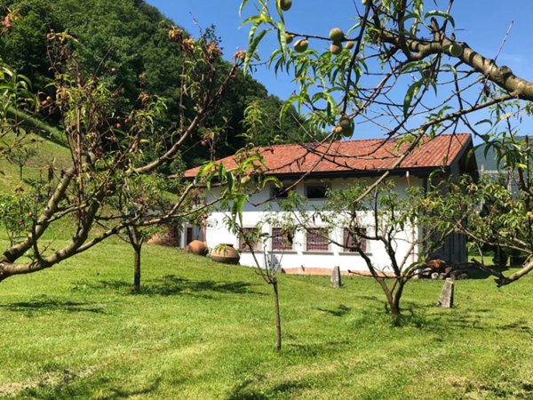 casa indipendente in vendita ad Endine Gaiano