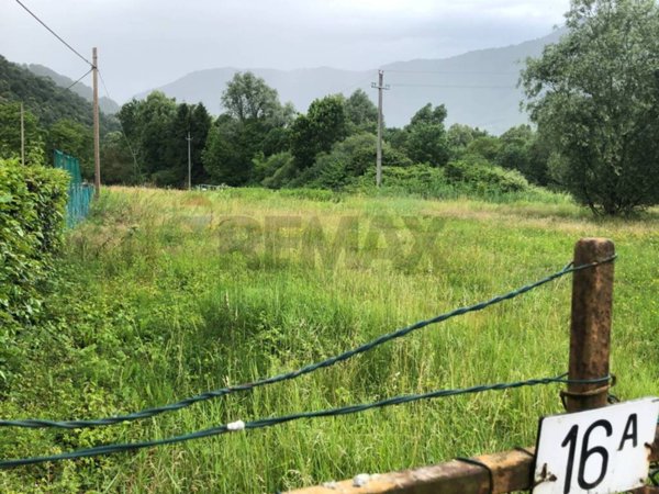 terreno agricolo in vendita ad Endine Gaiano