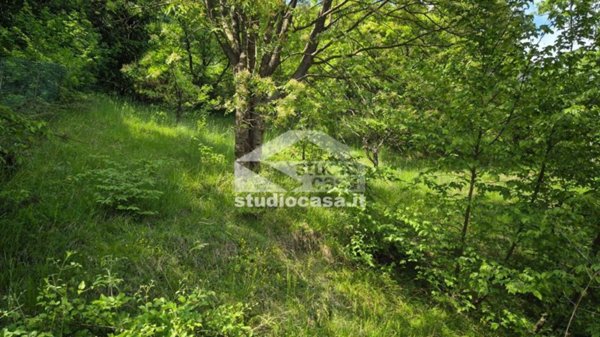 casa indipendente in vendita ad Endine Gaiano