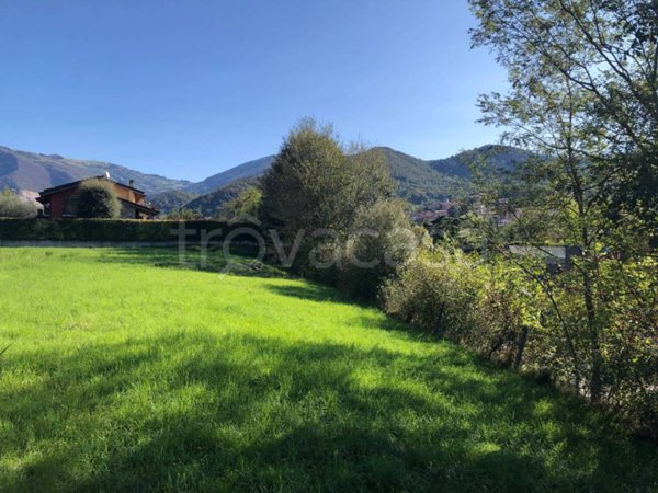 terreno agricolo in vendita ad Entratico
