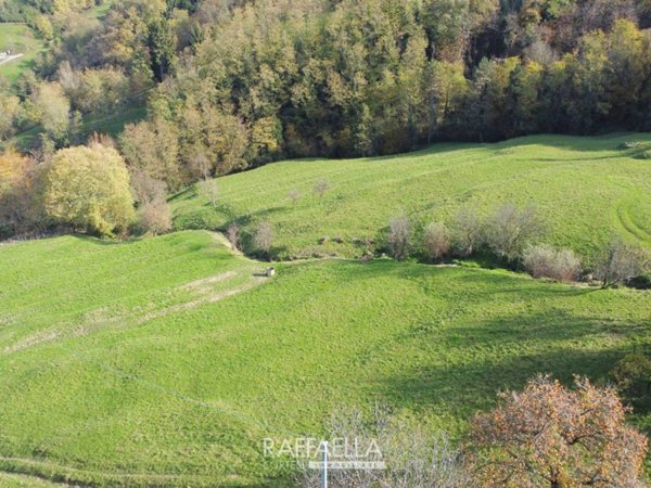 terreno agricolo in vendita ad Entratico