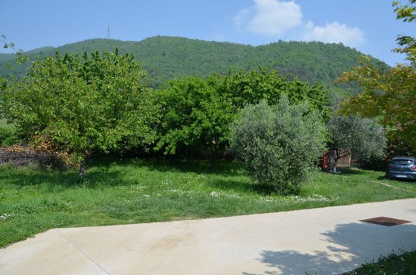 casa indipendente in vendita ad Entratico