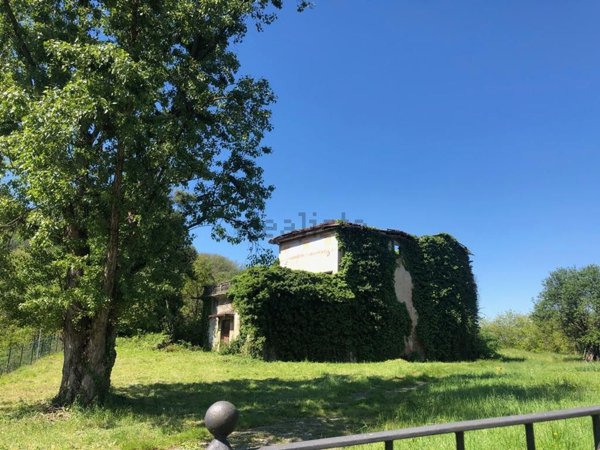 pentavano in vendita ad Entratico