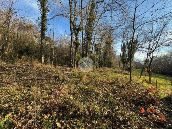 terreno agricolo in vendita ad Almese in zona Malatrait