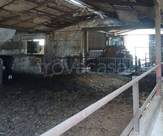 terreno agricolo in vendita a Fara Gera d'Adda
