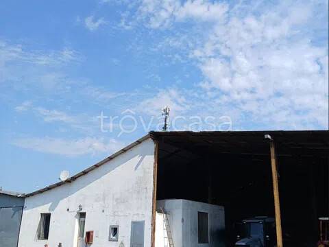 terreno agricolo in vendita a Fara Gera d'Adda