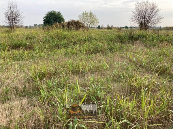 terreno agricolo in vendita a Fontanella