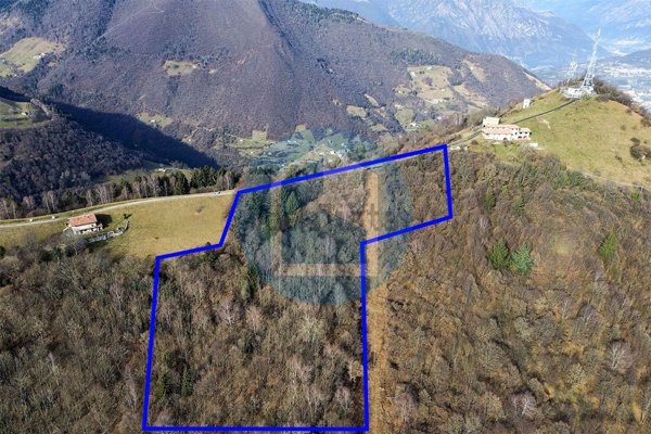 terreno agricolo in vendita a Fonteno