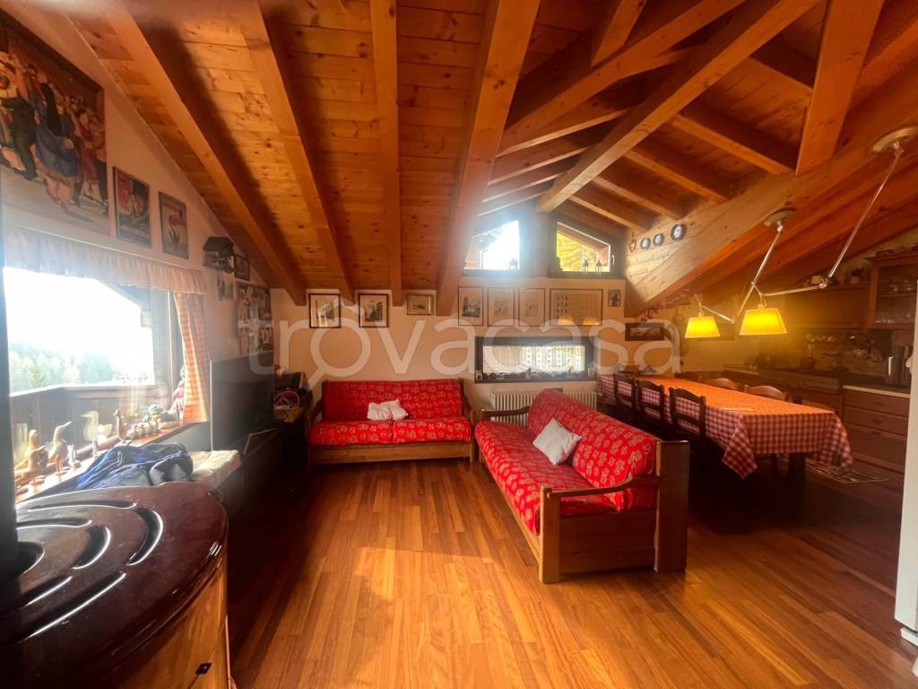 immagine annuncio 0 di 15