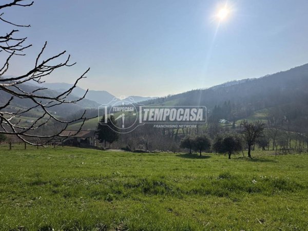 immagine annuncio 0 di 15
