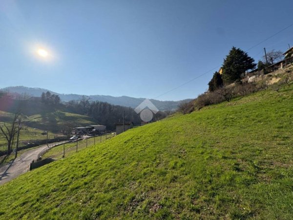 terreno agricolo in vendita a Foresto Sparso