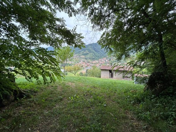 terreno agricolo in vendita a Foresto Sparso in zona Dosso dell'Era