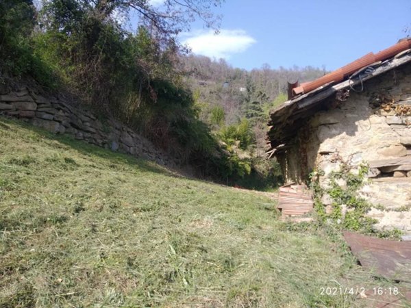 casa indipendente in vendita a Foresto Sparso