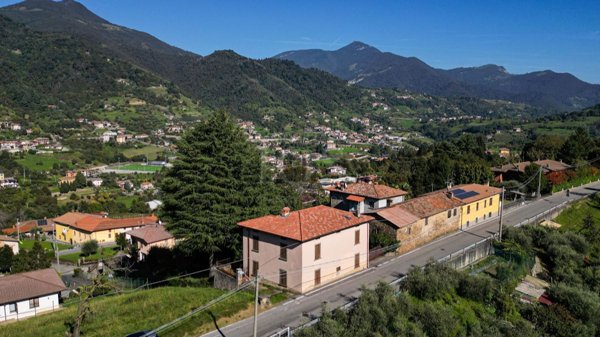 esavano in vendita a Foresto Sparso