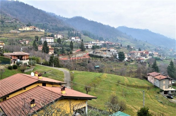 terreno agricolo in vendita a Foresto Sparso