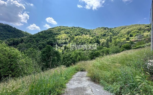 terreno agricolo in vendita a Foresto Sparso