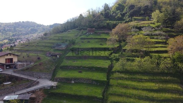 terreno agricolo in vendita a Foresto Sparso