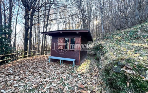 terreno agricolo in vendita a Foresto Sparso