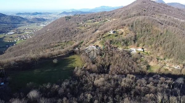 terreno agricolo in vendita a Foresto Sparso