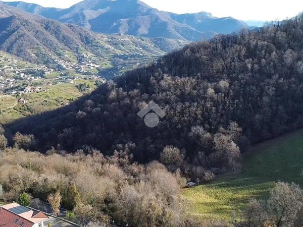 terreno agricolo in vendita a Foresto Sparso