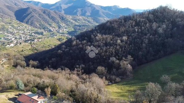terreno agricolo in vendita a Foresto Sparso in zona Chiesa