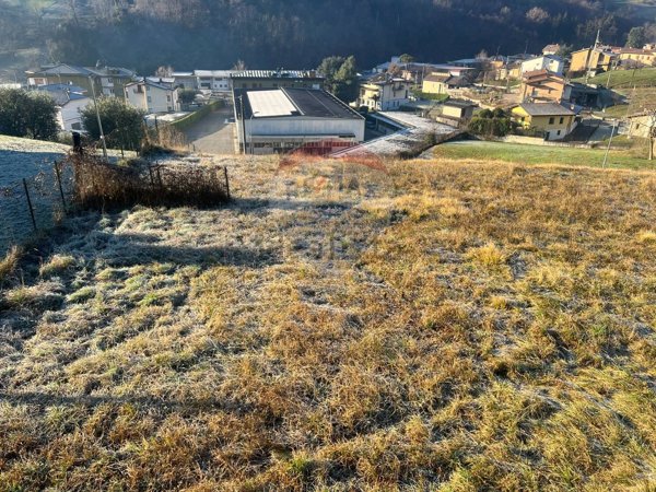 terreno edificabile in vendita a Foresto Sparso