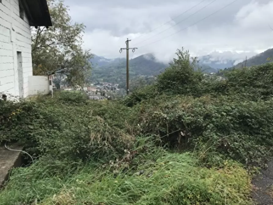 terreno agricolo in vendita a Foresto Sparso
