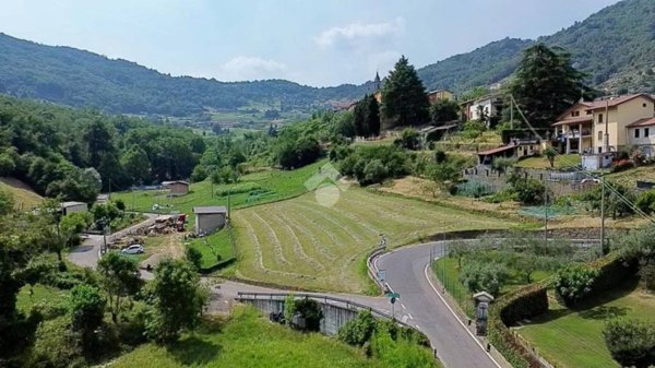 terreno agricolo in vendita a Foresto Sparso in zona Oliva