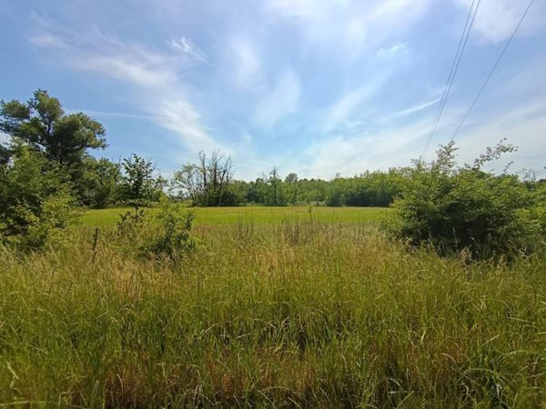 terreno agricolo in vendita a Fornovo San Giovanni