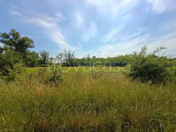 terreno agricolo in vendita a Fornovo San Giovanni