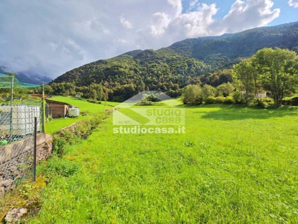 terreno agricolo in vendita a Gandellino